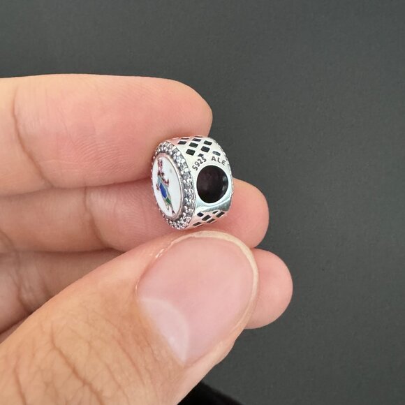 Pandora  EPCOT Bead Charm - Picture 8 of 8